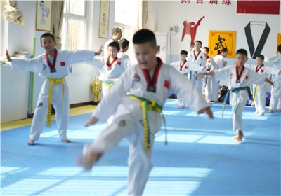 武术、跆拳道、散打